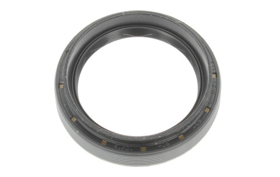 Oljetätningsring, differential