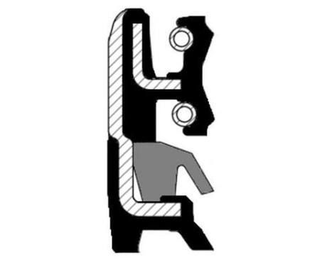 Oljetätningsring, differential