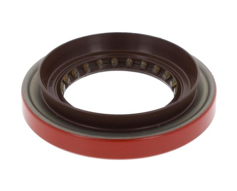 Oljetätningsring, differential