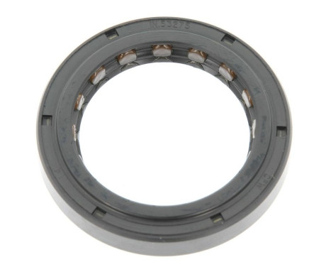 Oljetätningsring, differential