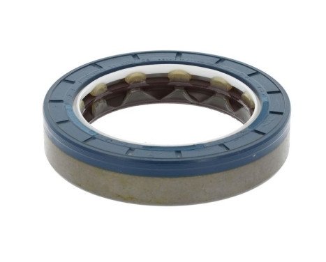 Oljetätningsring, differential