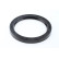 Oljetätningsring, differential, miniatyr 2