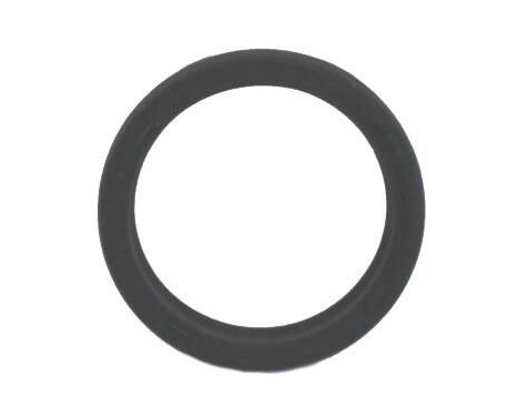 Oljetätningsring, automattransmission
