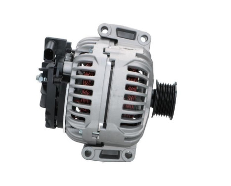 Dynamo 555.571.180.010 PlusLine, bild 4