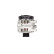 Dynamo / Generator ALT14V100A(R) Bosch, miniatyr 6
