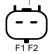 Dynamo, miniatyr 2