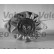 Generator NEW ORIGINAL PART 432763 Valeo, miniatyr 3
