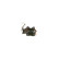 Hållare, kolborstar 1 004 336 625 Bosch, miniatyr 3