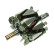 Rotor, generator