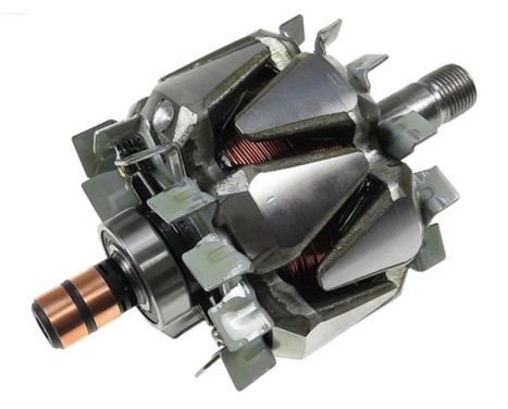 Rotor, generator