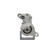 Startmotor Audi 1,7 kw