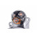 Startmotor NEW PART CORE FREE 8EA 011 610-511 Hella, miniatyr 5