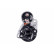 Startmotor NEW PART CORE FREE 8EA 012 526-861 Hella, miniatyr 3