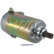 Startmotor / Startmotor, miniatyr 2