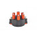 Fördelarlock, miniatyr 3