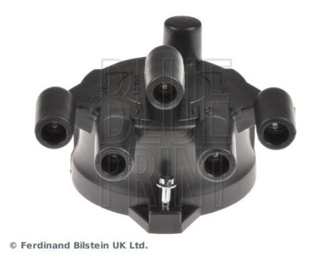 Fördelarlock, bild 2