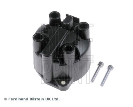 Fördelarlock, bild 2