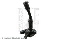 spole ADBP140036 Blue Print