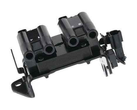 Spole BAEQ134 Magneti Marelli