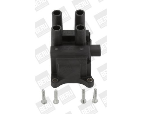 Spole ZS387 Borgwarner Beru