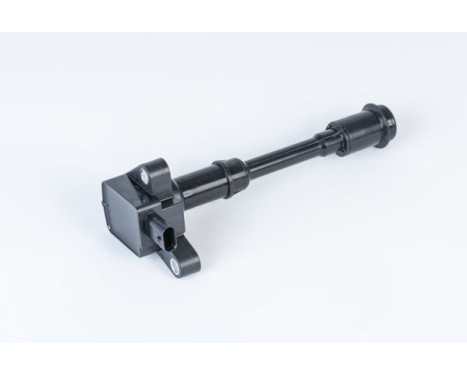 Spole ZSE203 Borgwarner Beru