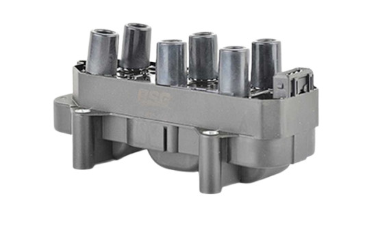 tändspole BSG 65-835-006
