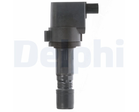 Tändspole GN10421-12B1 Delphi, bild 10