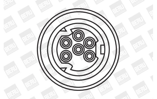 Tändspole ZS307 Borgwarner Beru, bild 4