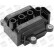 Tändspole ZS325 Borgwarner Beru, miniatyr 3