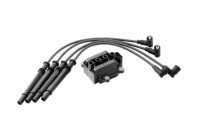 Tändspole ZS325 Borgwarner Beru