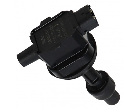Tändspole ZS429 Borgwarner Beru