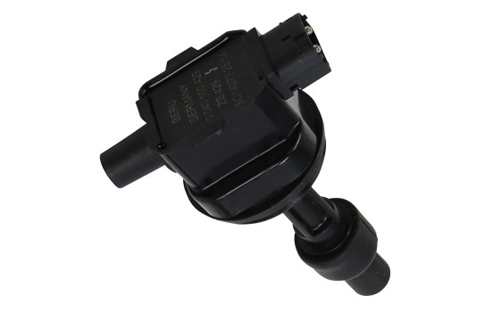 Tändspole ZS429 Borgwarner Beru