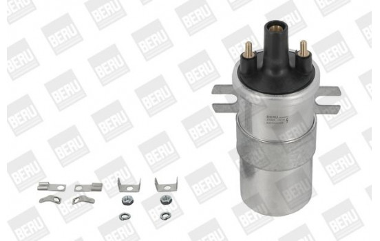 Tändspole ZS568 Borgwarner Beru