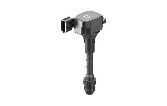 Tändspole ZSE132 Borgwarner Beru