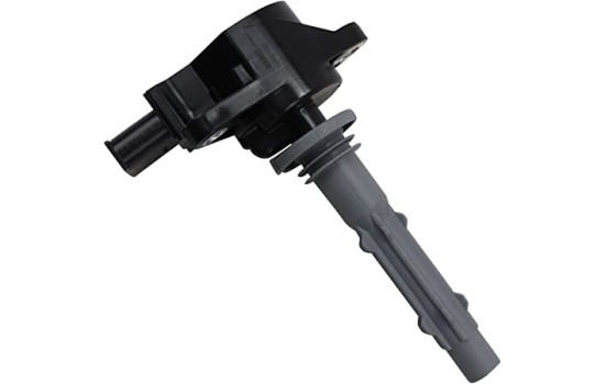 Tändspole ZSE140 Borgwarner Beru