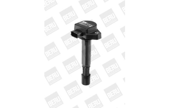 Tändspole ZSE170 Borgwarner Beru