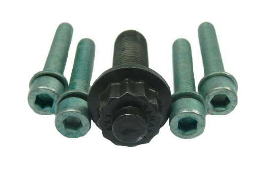 Skruvsats, remskiva-vevaxel