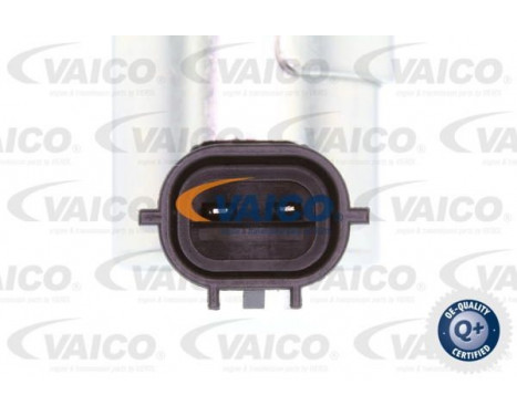 VVT-ventil Q+, original equipment manufacturer quality, bild 2