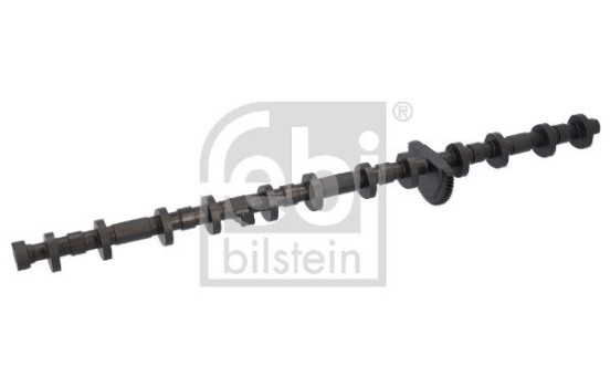 Excenteraxel, kamaxeljustering febi Plus, bild 2