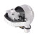 Motormontering 176645 FEBI