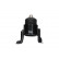 Motormontering EEM-4646 Kavo parts