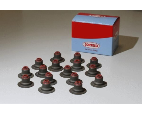 ENSEMBLE D ETANCHEITE DE SOUPAPE