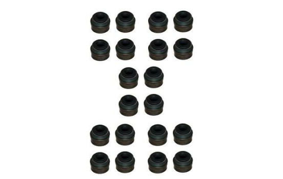 Packningssats, ventiler