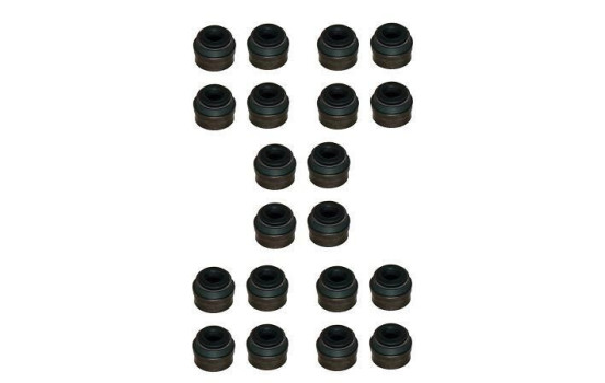 Packningssats, ventiler