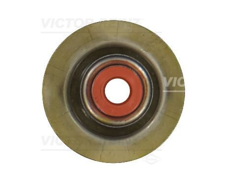 ventilskaftspackning