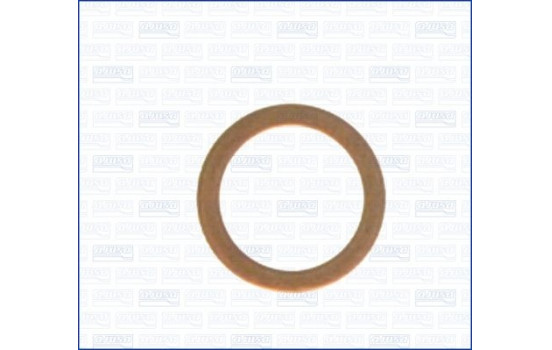 Tätningsring, oljeavtappningsplugg