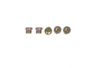 WT-2113-M17 Sumpplugg M17