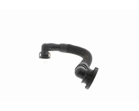 Slang, ventilkåpsventilation Original VAICO Quality, bild 5