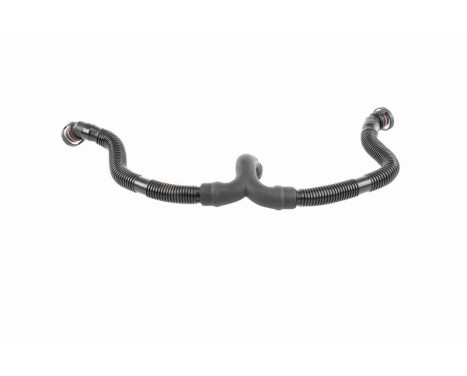 Slang, ventilkåpsventilation Original VAICO Quality, bild 8