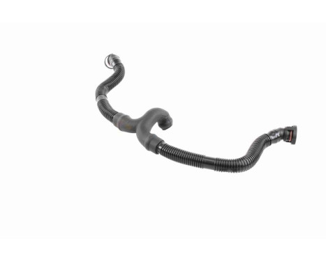 Slang, ventilkåpsventilation Original VAICO Quality, bild 9